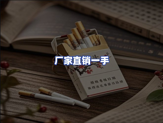 专业团队
